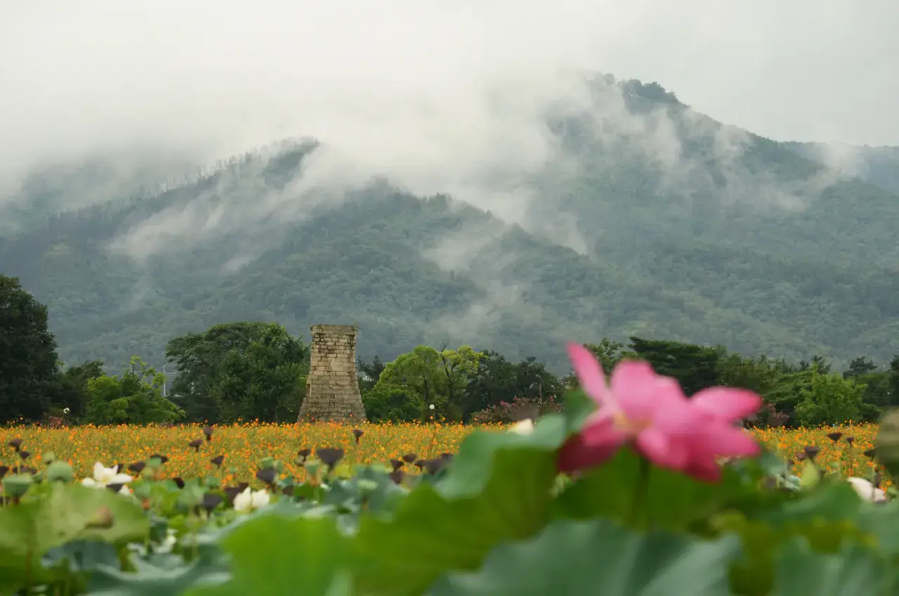 Cheomseongdae on a rainy day in Gyeongju
